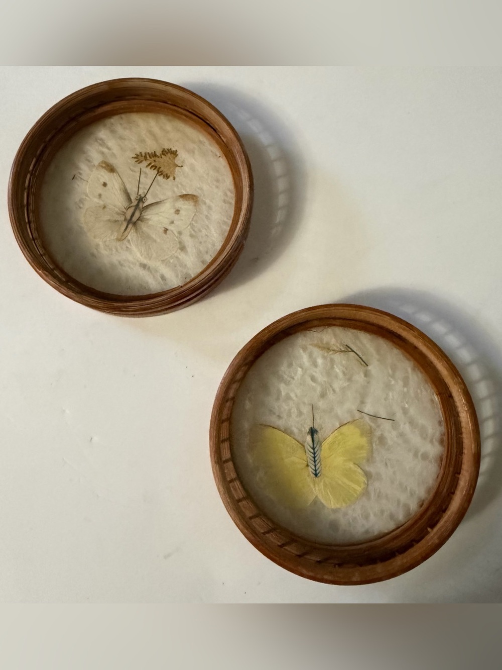 Pair Of Vintage 1970s MCM Pressed Butterfly Drink Coasters With Bamboo Rim